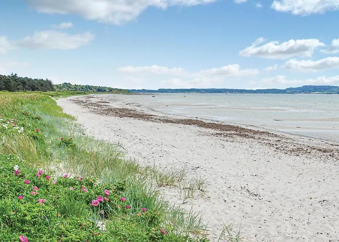 Rollikevej Iv Knebel