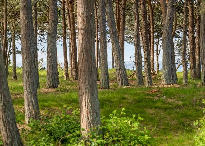 Rollikevej Iv 別荘 Knebel